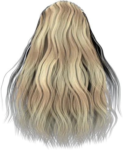 Hair Images Hair From Back Png Blonde Hair Png