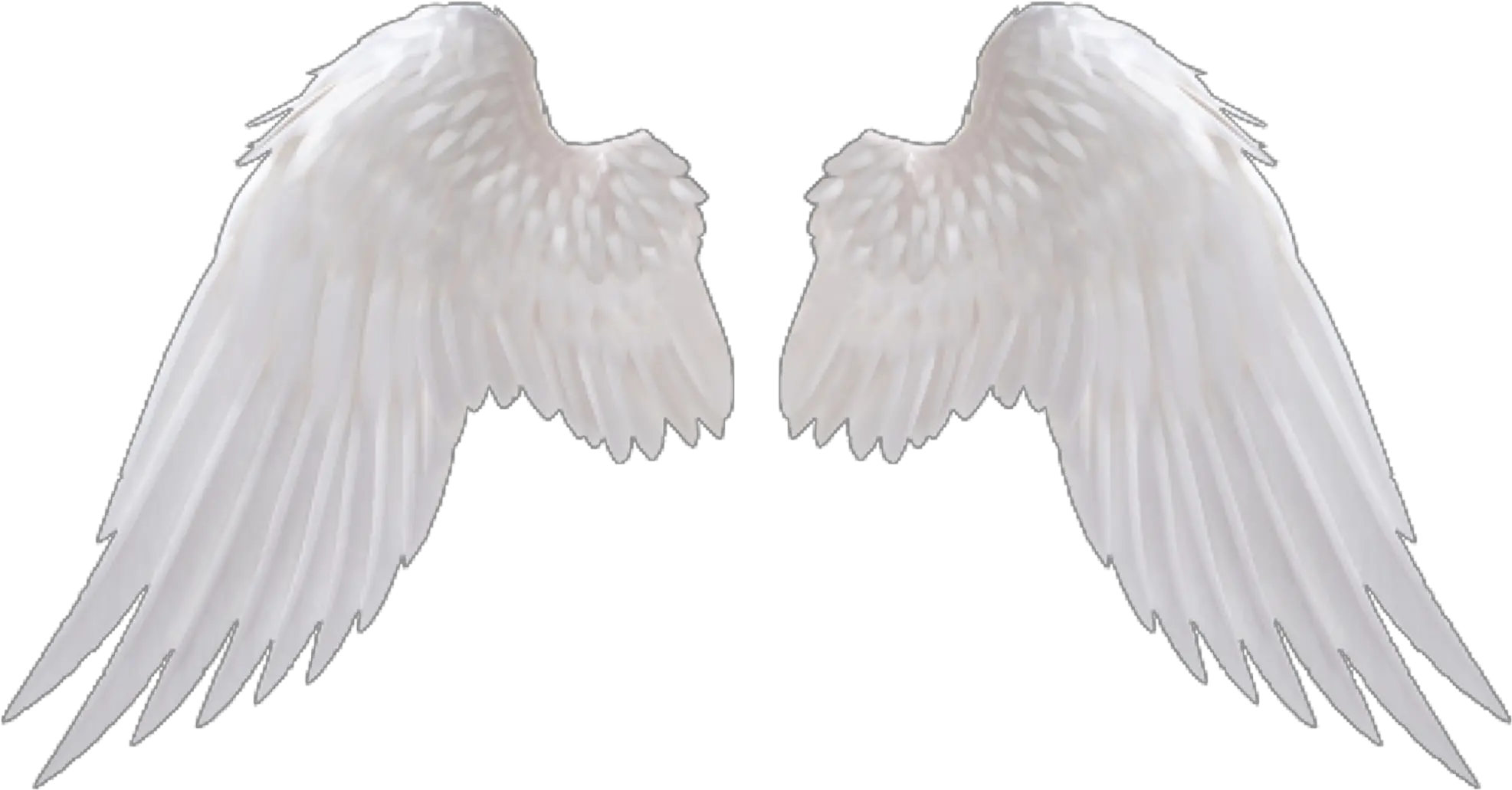 White Wing Png 5 Image Transparent Background Angel Wings Png Wing Png