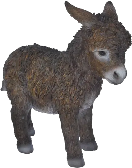 Baby Donkey Vivid Arts Garden Donkey Png Donkey Png