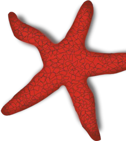 Starfish Clip Art Starfish Clip Art Png Starfish Transparent Background