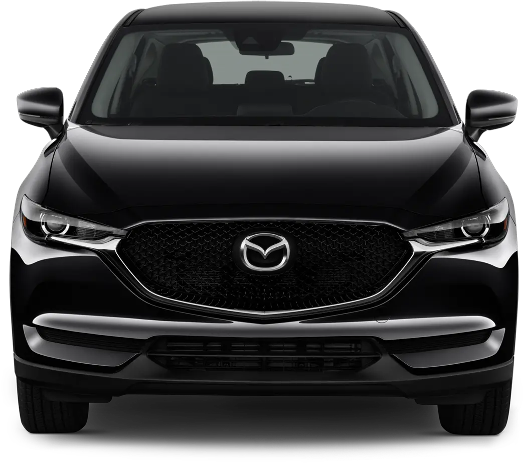 Ten Thousand The Worldu0027s Best Menu0027s Training Gear Solid Png Shorts Png