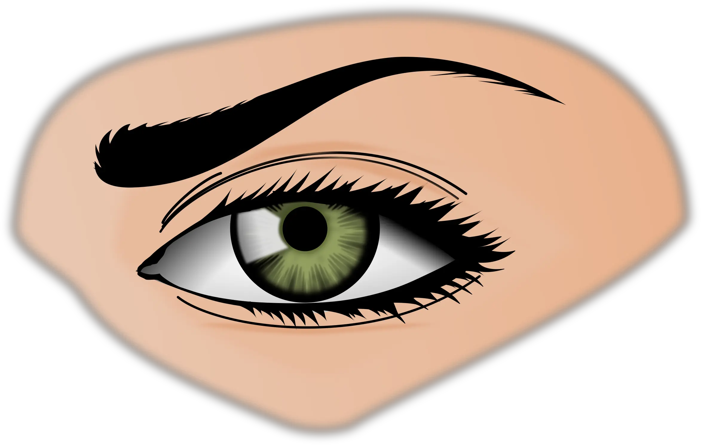 Png Clipart Eyes Eye Clipart Eyebrows Png