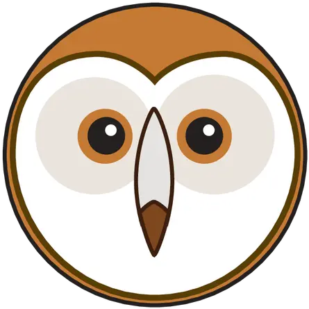 Animaru Cartoon Owl Face Png Barn Owl Png