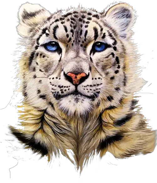 Snow Leopard Tiger Clouded Snow Leopard Avatar Png Snow Leopard Png