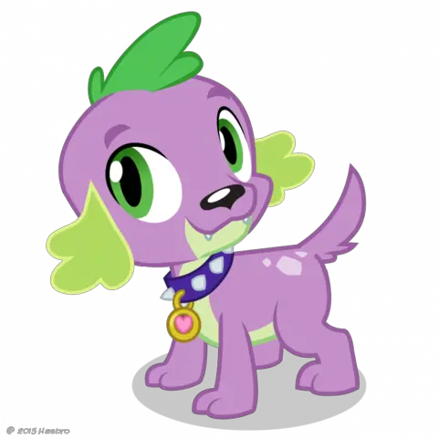 1525940 2015 Dog Equestria Girls Puppy Rainbow Rocks My Little Pony Equestria Girls Spike Png Rocks Transparent Background