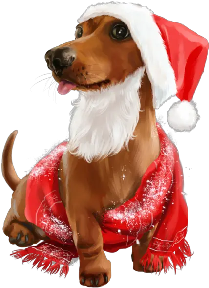Pin Cute Dogs Christmas Png Dog And Cat Png