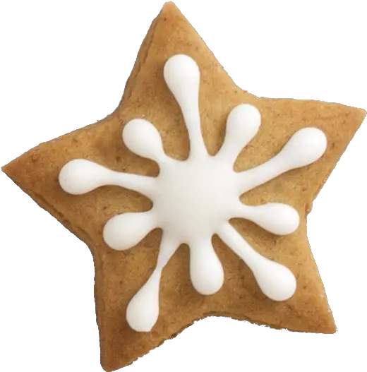 Library Of Christmas Star Cookie Vector Star Christmas Cookie Png Christmas Cookies Png