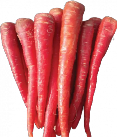 Carrot Country Red 25 Grams Advanta Carrot Png Carrot Png