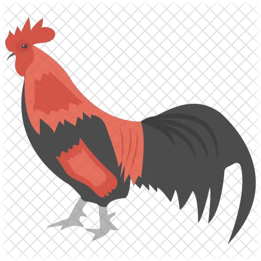 Roster Icon Roster Png Rooster Png