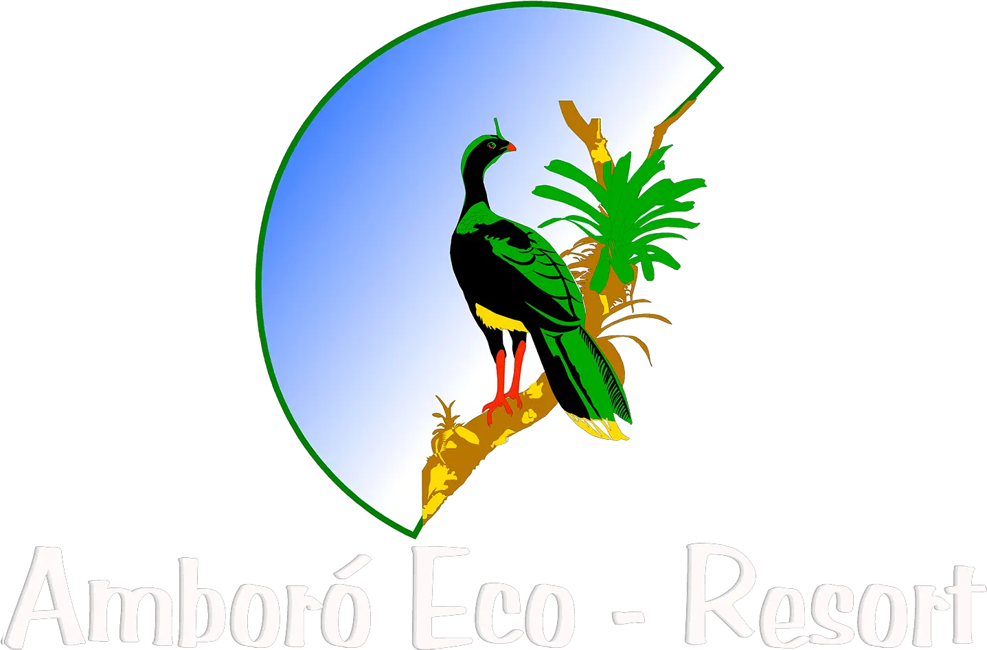 Cristo Redentor Png Www Amboroecoresort Com Toucan Language Toucan Png