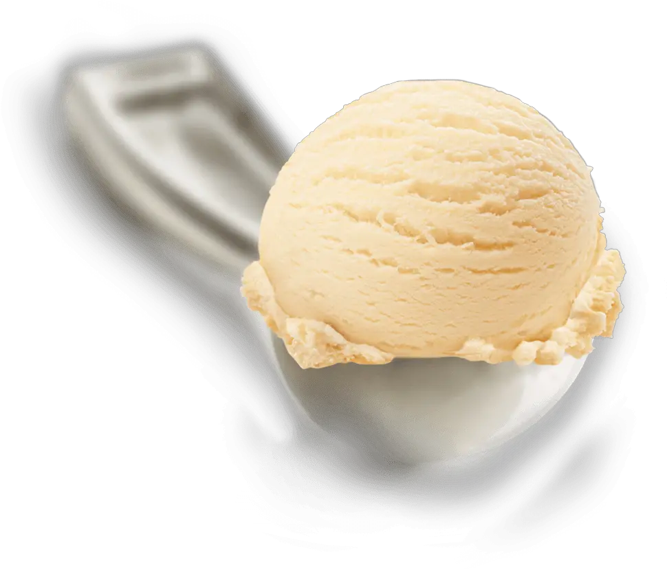 Download Homemade Vanilla Scoop Vanilla Ice Cream Png Ice Cream Scoop Png Cream Png