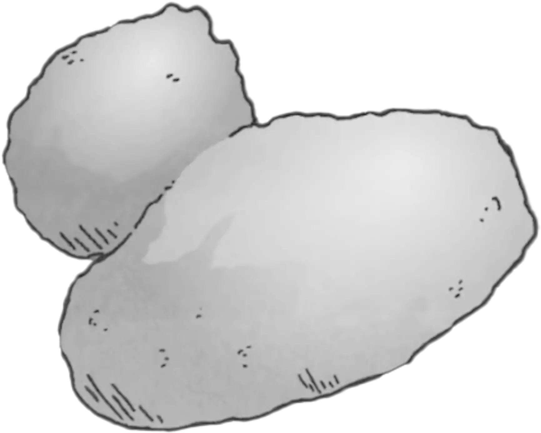 Esa Rosettau0027s Comet Cartoon Russet Burbank Potato Png Comet Png