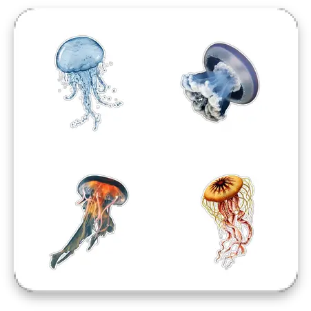 Download Jellyfish Wastickerapp Apk Free Bioluminescence Png Jellyfish Icon