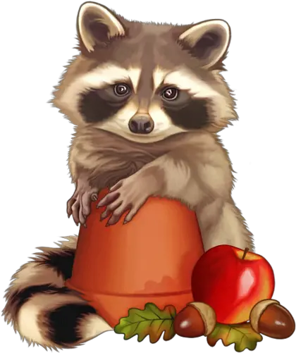 Raton Laveur Raton Laveur Clipart Png Raccoon Transparent Background