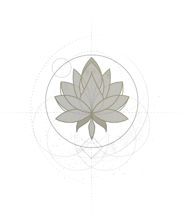 Tuscany Wedding Information Studio Fotografico Bacci Png Water Lily Icon