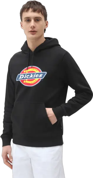 Tröjor Herr Stadiumse Bluza Dickies Png Nike Foundation Icon Hoodie