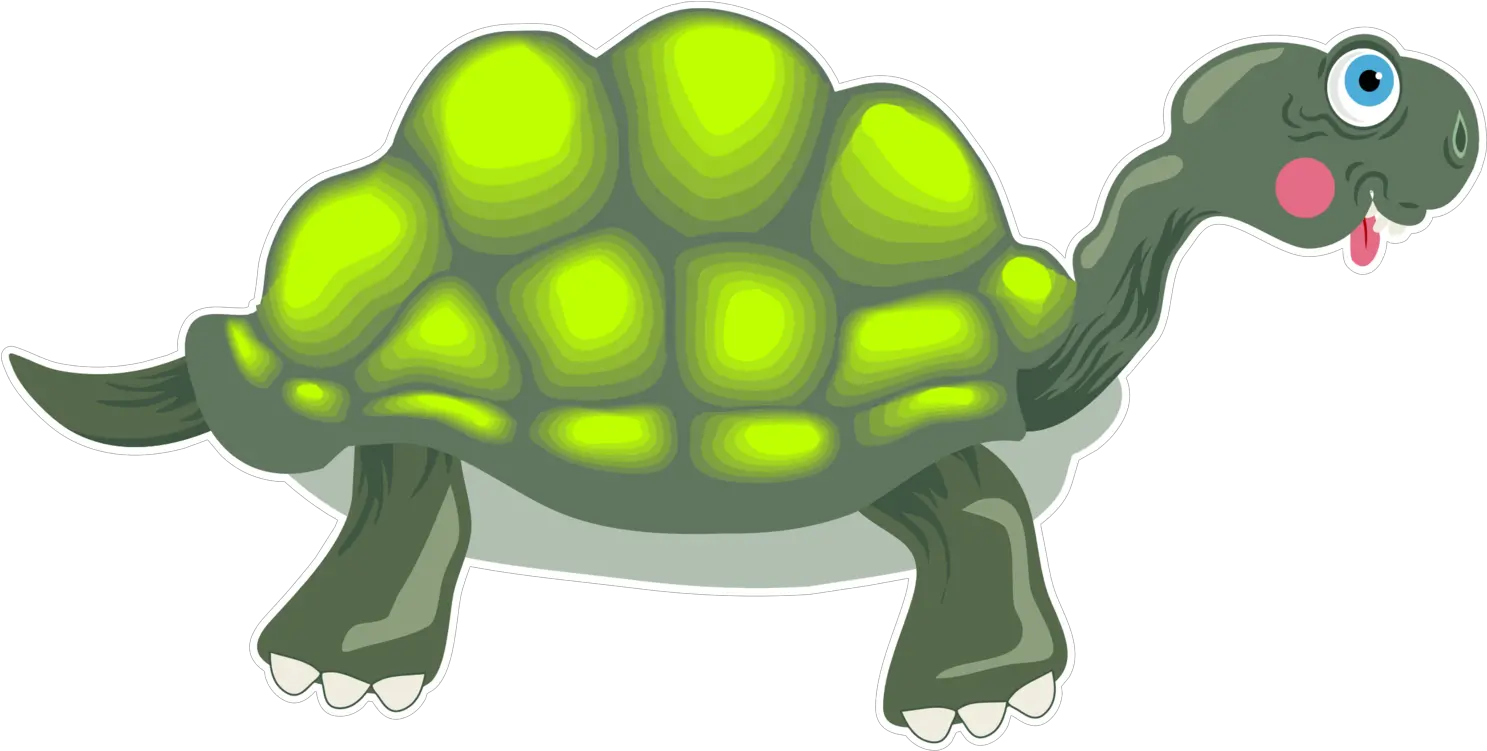 Adder Free Tortoise Cartoon Tortoise Cartoon Transparent Png Tortoise Png