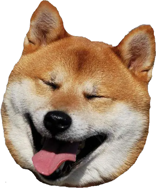 Dog Head Png Picture Shiba Inu Head Png Shiba Inu Png
