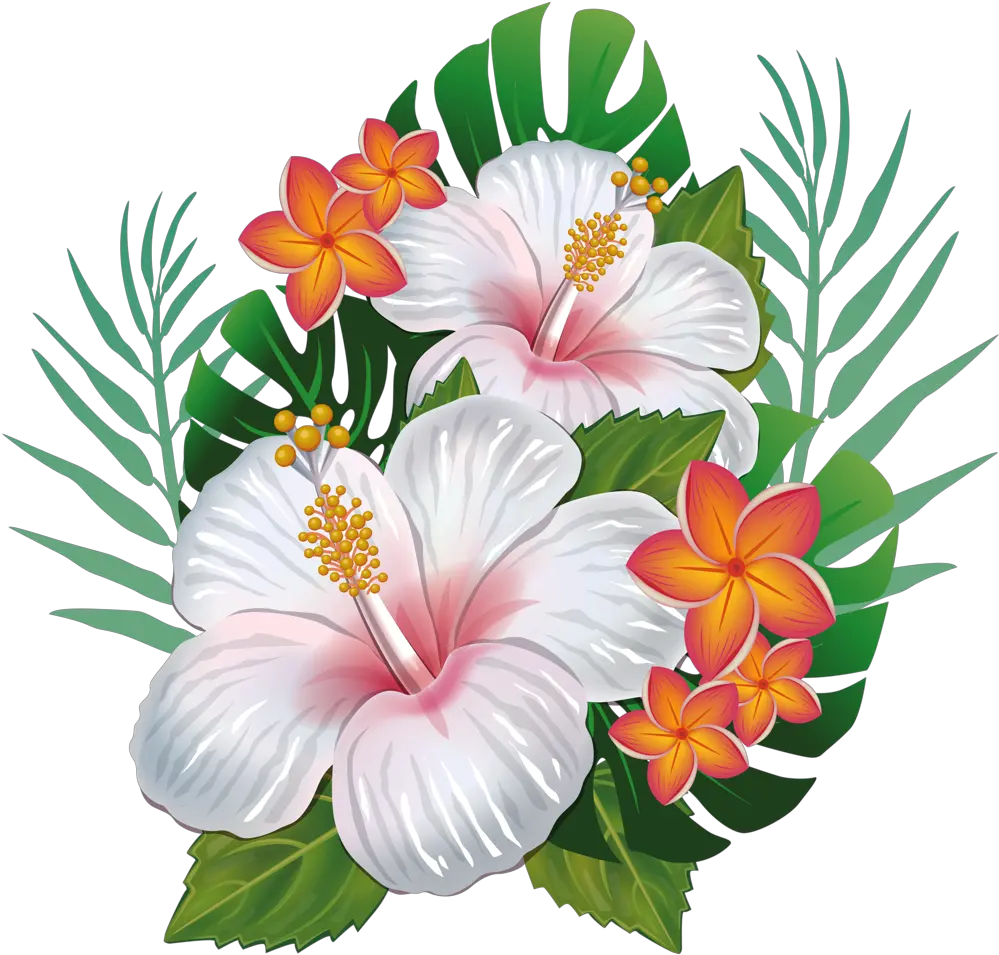 Hibiscus Clipart Wedding Hawaii Transparent Hawaiian Flower Png Hawaii Png