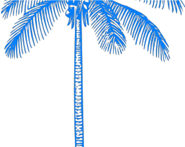 Palm Tree Clip Art Png Palm Tree Clipart Curved Teal Coconut Tree Clip Art Tree Clipart Png