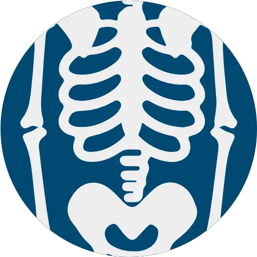 Skeleton Terror Spooky Scary Skeleton Anatomy Icon Png Spooky Skeleton Icon