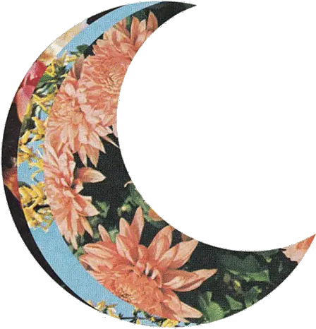 Untitled Image 1197794 By Awesomeguy On Favimcom Moon Transparent Tumblr Crescent Png Moon Transparent Background