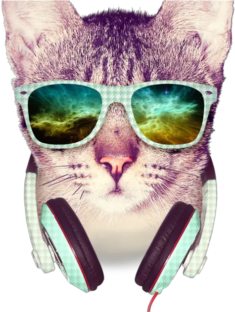 Download Sticker Hipster Decal Others Free Photo Png Clipart Hipster Cat Png Hipster Glasses Png