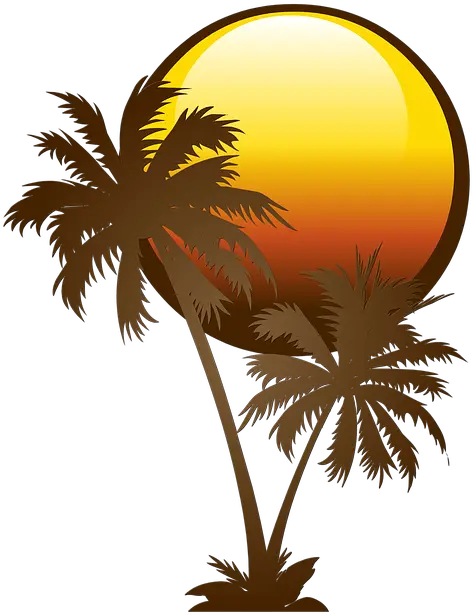 Palm Tree Solar Free Image On Pixabay Palm Tree White Vector Png Palm Tree Logo