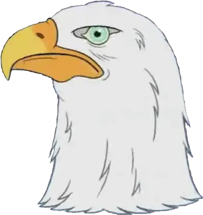 Eagle Head Cutouts Bald Eagle Png Bald Eagle Head Png