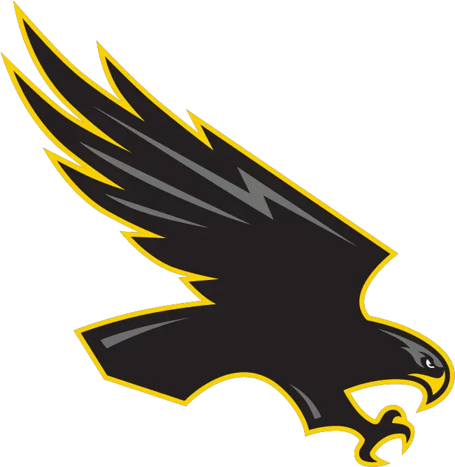 Hawk Logo Central Lee Hawks Logo Png Hawk Png