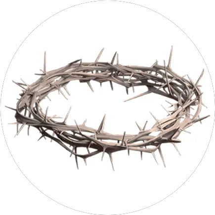 4 The Kingdom Of God Reverend Nev Watson Twig Png Kingdom Png