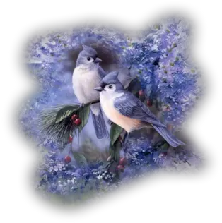 Index Of Userstbalzebirdpng Tufted Titmouse Winter Png