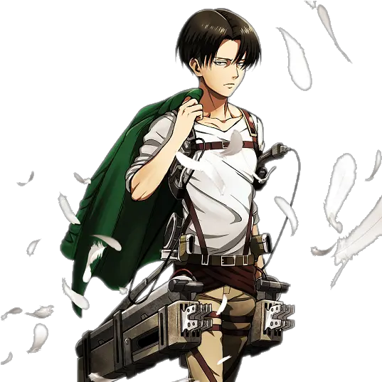 Related Wallpapers Levi Wings Of Freedom Png Levi Png