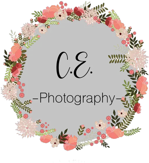 Home Photos Design Plain Background Hd Png Floral Wreath Png