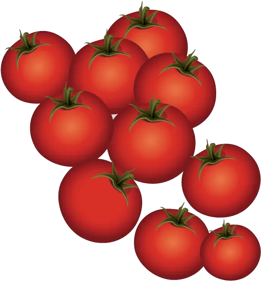 Plum Tomato Bush Ripe Tomatoes Png Download 612 Tomato Tomatoes Png