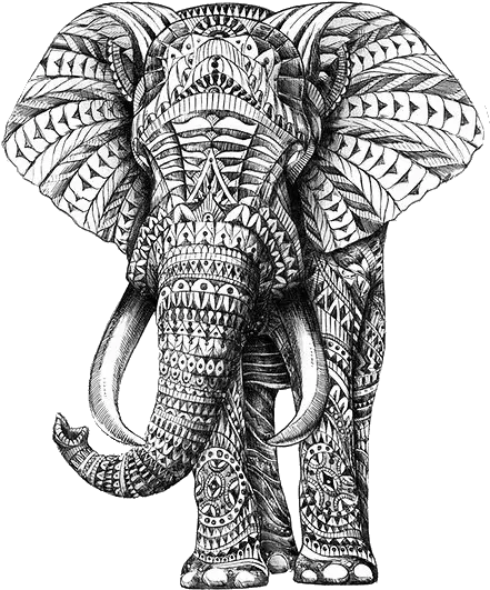 Found Parencytumblrcom Via Tumblr Elephant With Designs Png Transparent Pngs