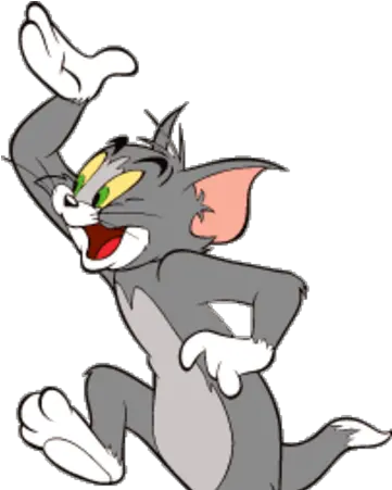 Tom Cat Tom And Jerry Psd Png Tom And Jerry Png
