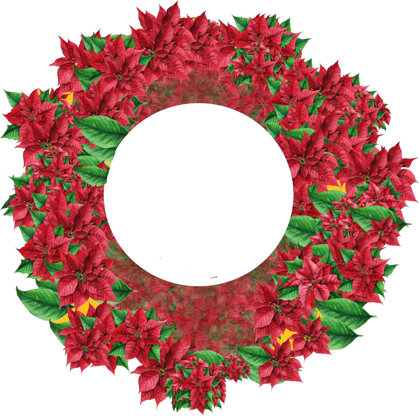 Poinsettia Wreath Png Free Stock Photo Public Domain Pictures Floral Wreath Png