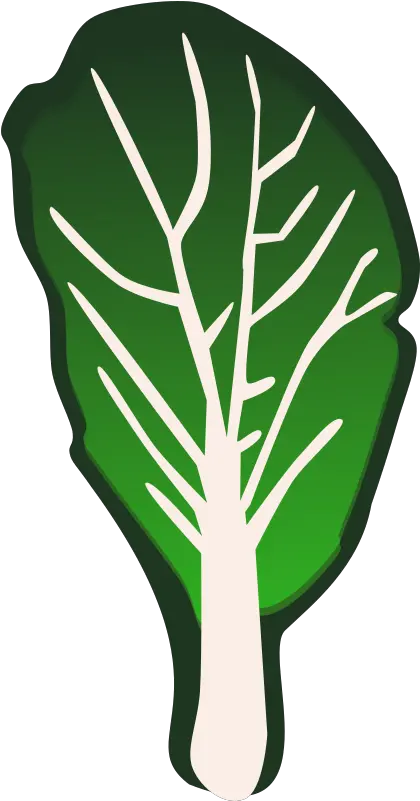 Clipart Vegetables Kale Transparent Turnip Greens Clip Art Png Kale Png
