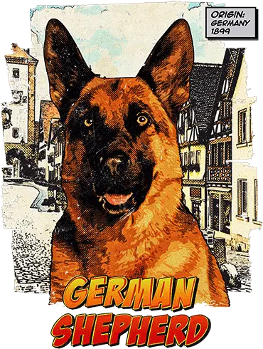 German Shepherd T Shirt Ancestry Northern Breed Group Png German Shepherd Transparent