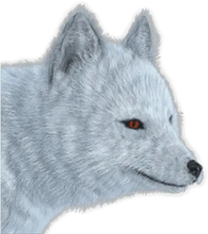 Free Transparent Png Images Transparent Png Arctic Fox Fox Png