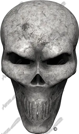 Bone Skull Angle 3 Aurora Graphics Decal Png Transparent Skulls