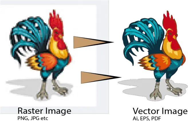 Download Vectorise Or Vector Trace Your Rooster Vector Png Vectorise Png