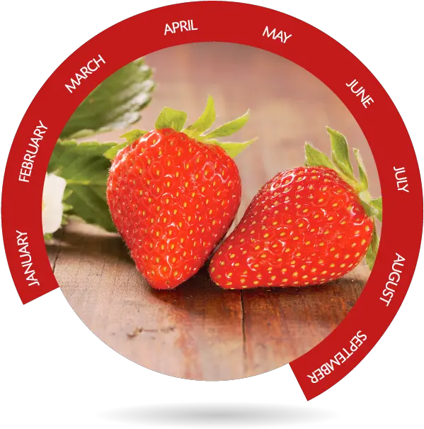 Berries Bionest Agricultura Ecológica Strawberry Png Strawberry Png