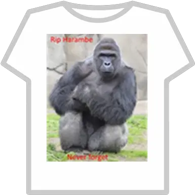 Rip Harambe Roblox Harambe Meme Png Harambe Transparent
