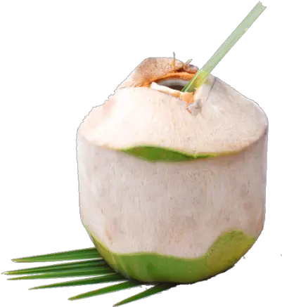Than Bottled Crap In Stores Tumblr Young Coxonut Png Coconut Transparent