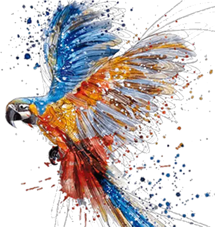 Parrot Watercolor Painting Drawing Art All Animals In The World Png Parrot Transparent