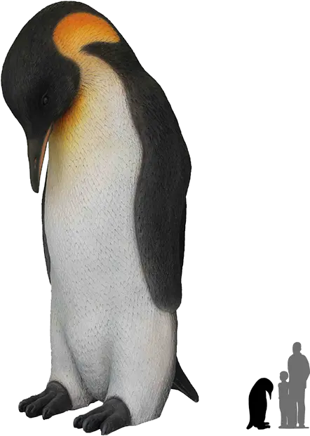Download Penguinspngtransparentimagestransparent Emperor Penguin Penguin Transparent Background Png Penguin Transparent