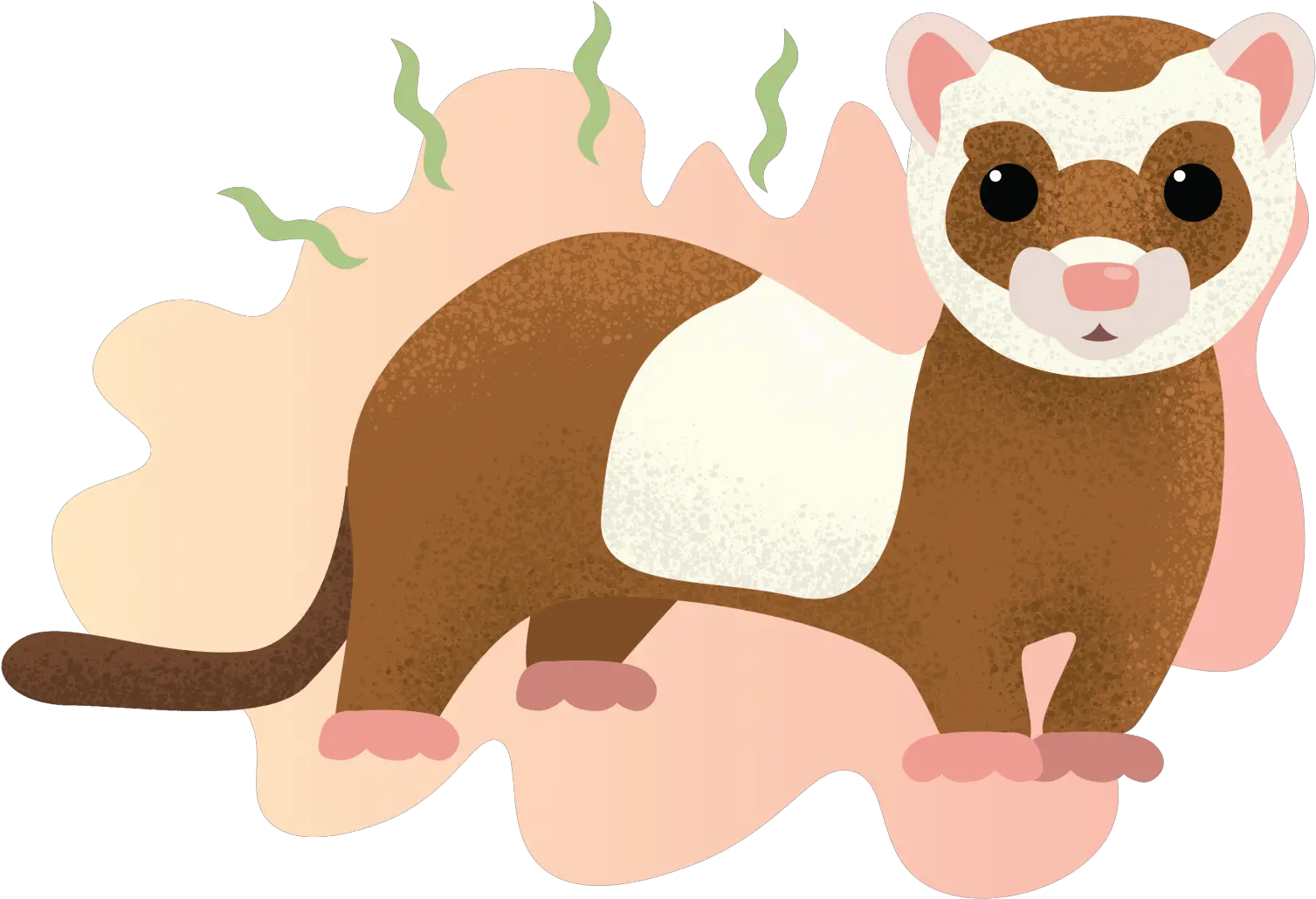 Why Do Ferrets Smell Learn How You Can Get Rid Of Their Ferrets Illustration Png Ferret Png