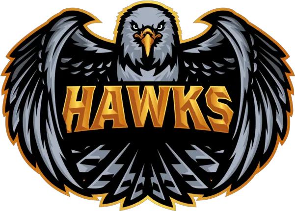 Hawks Liquipedia Rocket League Wiki Hawks Team Png Hawk Png